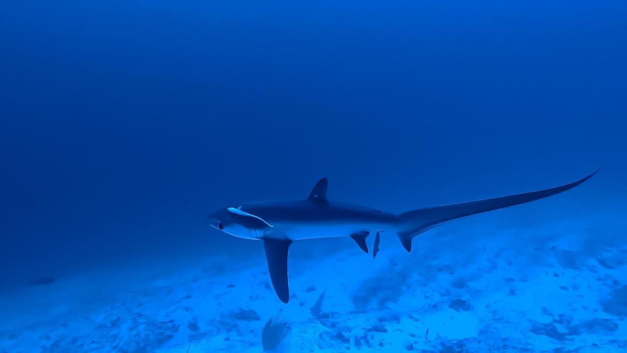 Isle Royal Inn Fuvahmulah المظهر الخارجي الصورة
