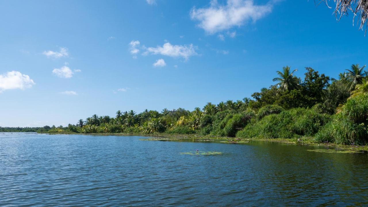 Isle Royal Inn Fuvahmulah المظهر الخارجي الصورة